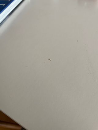 Mesa y 4 Sillas IKEA