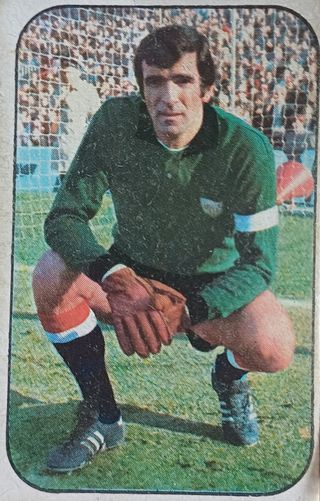 20 Cromos Fútbol 76/77