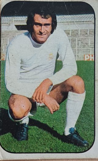 20 Cromos Fútbol 76/77