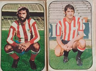 20 Cromos Fútbol 76/77