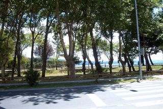 Local comercial en alquiler en Ares