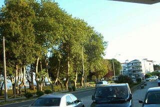 Local comercial en alquiler en Ares