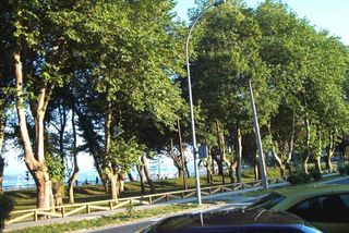 Local comercial en alquiler en Ares