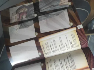 Álbum y Cromos Santos y Vírgenes Panini