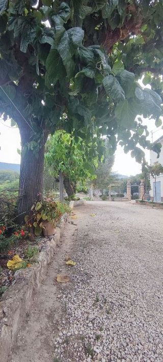 Casa rural en venta en Alcoy/Alcoi