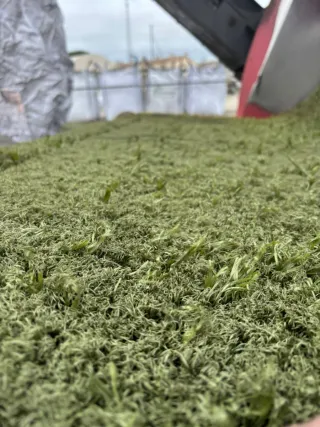 Césped reciclado campos fútbol