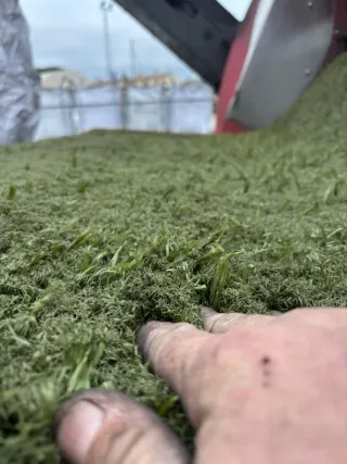 Césped reciclado campos fútbol