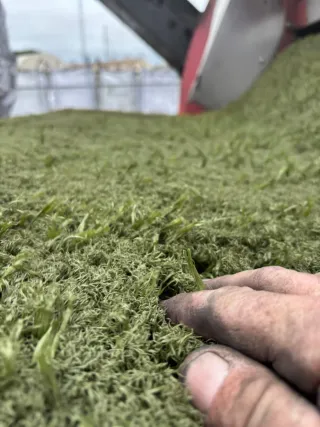 Césped reciclado campos fútbol