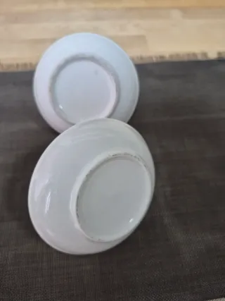 Cactus Dorados Decorativos Cerámica