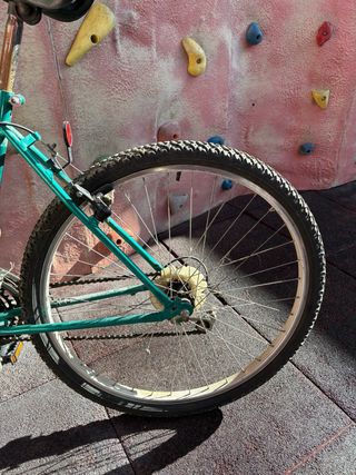 Bicicleta Monty Clásica Resistente