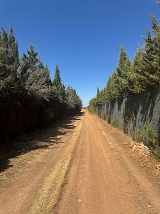 Terreno regadío en chaparrillo