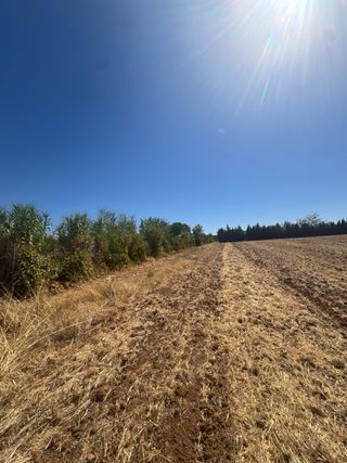 Terreno regadío en chaparrillo