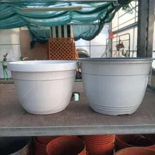 Set 13 Vasi Ciotola Basket Bianchi