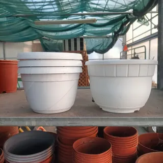 Set 13 Vasi Ciotola Basket Bianchi