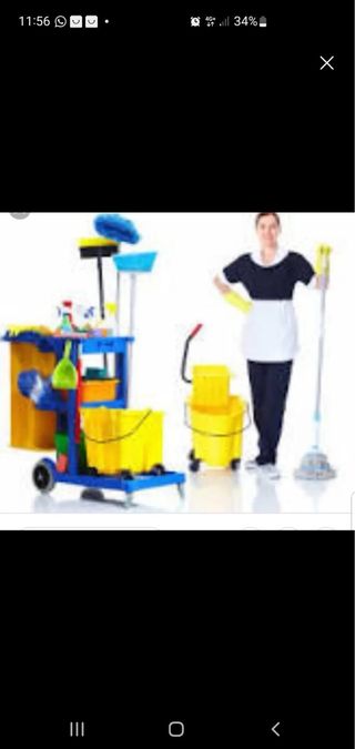 Limpieza oficina y casas