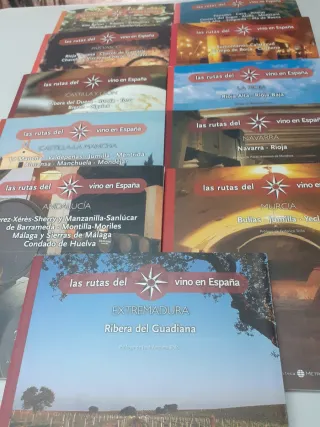 LA RUTA DEL VINO EN ESPAÑA 11 LIBROS
