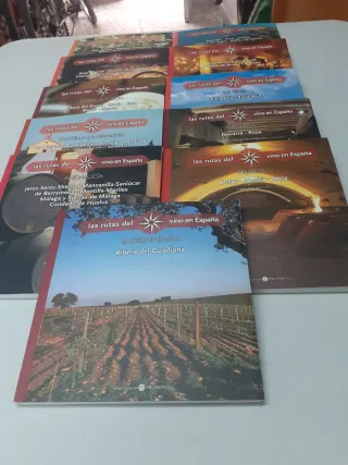 LA RUTA DEL VINO EN ESPAÑA 11 LIBROS