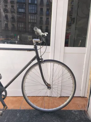 Bicicleta de ciudad L