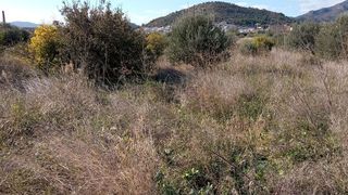Terreno en venta en Vall d´Uixó (la)