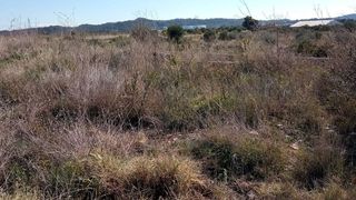 Terreno en venta en Vall d´Uixó (la)
