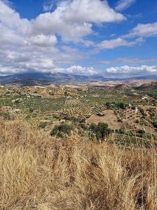 Terreno en venta en Coín