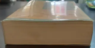 El Camino Gozoso de Buena Fortuna El Sendero Bu...