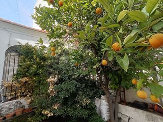 Chalet en venta en Santa María en Ciudad Real