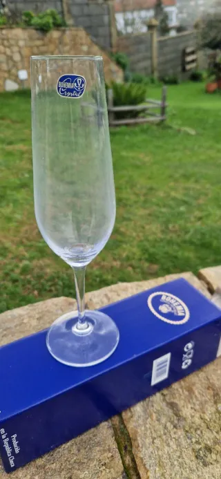 Copa Flauta Cristal Bohemia 220 ml