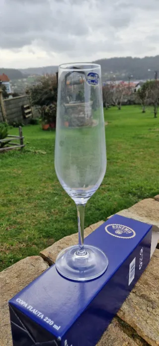 Copa Flauta Cristal Bohemia 220 ml