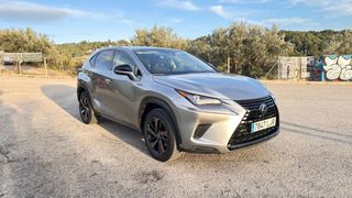 Lexus NX300h Sport Edition 2020
