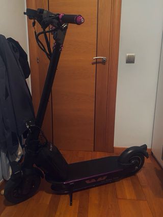 Ninebot G30 patinete eléctrico