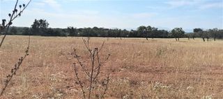 Terreno en venta en Manacor Centro en Manacor