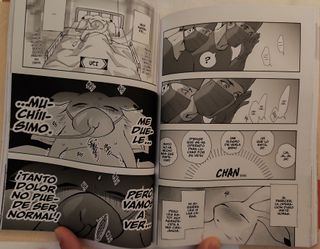 Lote 2 Mangas de Ensayo (2025)