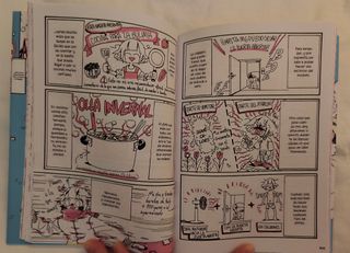 Lote 2 Mangas de Ensayo (2025)