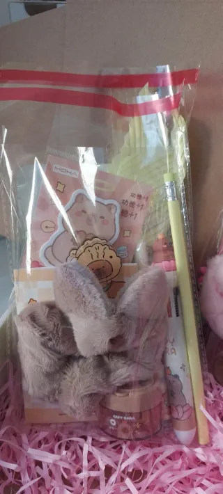 Bolsitas Sorpresa con 10-12 Productos