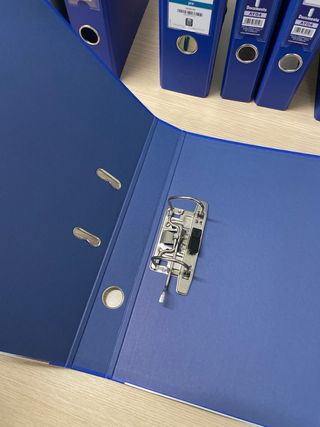 Lote de Carpesanos de dos anillas