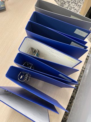 Lote de Carpesanos de dos anillas