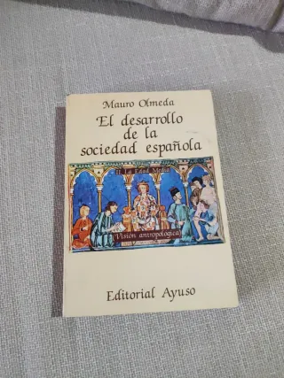 El desarrollo de la sociedad española