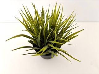 IKEA césped artificial maceta decorativo interior