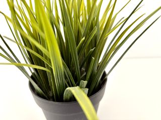 IKEA césped artificial maceta decorativo interior