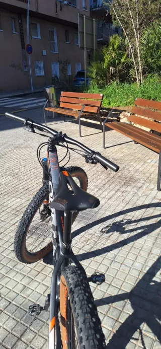 Bicicleta Orbea Alma Mtb 29