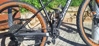 Bicicleta Orbea Alma Mtb 29