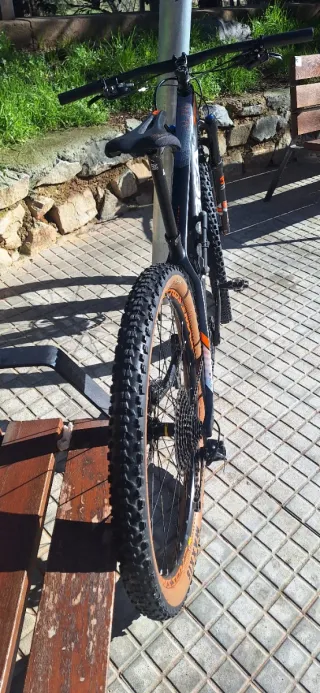 Bicicleta Orbea Alma Mtb 29
