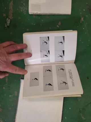 Libri di Sci: Pista, Ideale e Fondo