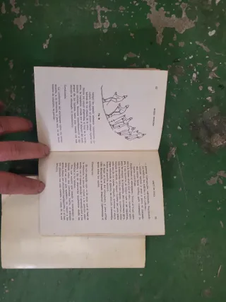 Libri di Sci: Pista, Ideale e Fondo