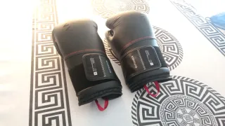 Guantes de Boxeo 12oz Outshock Negros