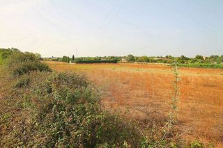 Terreno en venta en Manacor Centro en Manacor