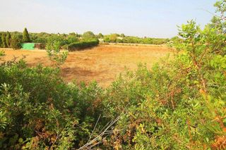 Terreno en venta en Manacor Centro en Manacor