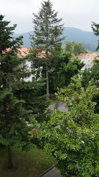 Piso en venta en Pravia