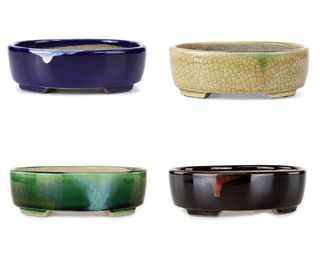 Juego 4 Macetas Bonsái Cerámica Terahata Satomi
